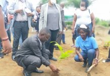 Rokel Commercial Bank Celebrates 1st Anniversary of Tree Planting Site