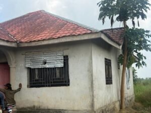 | The Calabash Newspaper