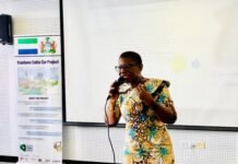 Freetown Mayor Unveils Green Design Challenge to Reimagine City Centre
