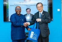 UNDP, Japan Launch $486,600 Peace and Trade Initiatives to Boost Stability in Kailahun and Empower SMEs