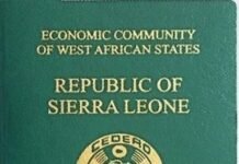 Calls Grow to Terminate Netpage Passport Contract Over Transparency, Revenue and Security Issues