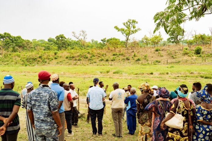 A diverse group of people standing in a field, chatting near a low fence with a grassy open area and trees in the background.