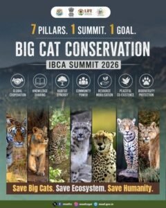 Poster for Big Cat Conservation IBCA Summit 2026 with seven pillar icons and rows of tiger photos.