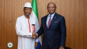 Two men in a formal setting shake hands: one in white traditional attire with a hat, the other in a navy suit, against a wood-paneled background with a Nigerian flag nearby.