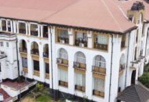 South African Woman Jailed 130 Years for Cocaine Trafficking in Sierra Leone