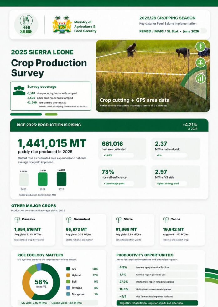 Infographic showing the 2025 Sierra Leone Crop Production Survey with field image and production stats from the Ministry of Agriculture and Feed Salone Logo area, highlighting crop data and area metrics.