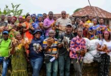 MAFS, FIPS-Africa Empower Rural Farmers with 5,000 Chicks and Poultry Feed Across Five Districts Group of people outdoors holding chickens, posing for a community event photo with a rural backdrop behind them.