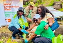 Orange, Tacugama Plant 5,000 Trees at National Park to Mark World Environment Day 2026 Group of four volunteers planting a sapling during World Environment Week, smiling near an event banner.