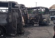 SLPTA Confirms Five Government-Owned Buses Destroyed by Fire Charred, burnt buses in a yard with doors open and ash on the ground; a man in a cap takes a selfie on the right side of the frame.