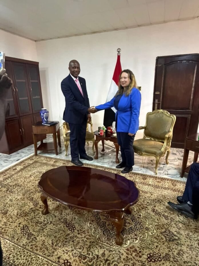 Two professionals shake hands in a formal office with a flag in the background, wood furniture, and a patterned rug.