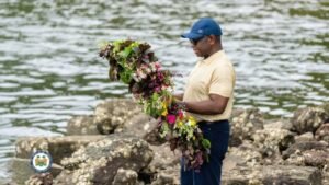 Man in a blue cap and beige polo stands on rocks by the water, holding a long colorful flower lei.