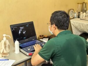 Medical professional wearing a mask operating an ultrasound machine at a patient’s bedside, screen showing ultrasound image.