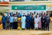 ECOWAS Council Chair Opens 96th Ordinary Session of Council of Ministers in Freetown Group of regional leaders and officials standing on stairs at a conference, with a green banner and event logos in the background.