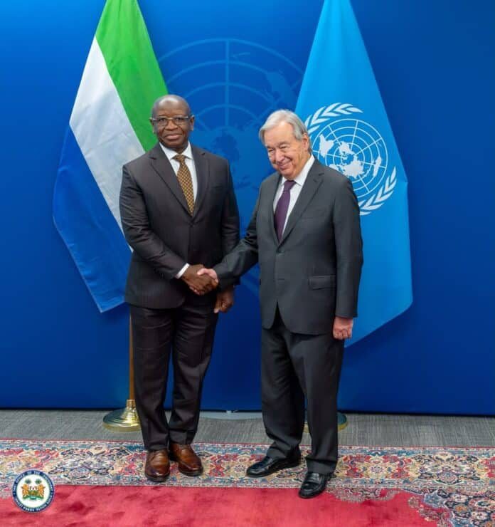 Two men in dark suits shake hands in front of Nigerian and UN flags at a formal meeting setting.