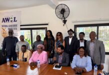 AWOL Relaunches National Achievement Awards, Unveils 2026 Committee Group of fourteen people posing for a photo around a wooden conference table, with a banner reading National Achievement Awards 2026 in the background.