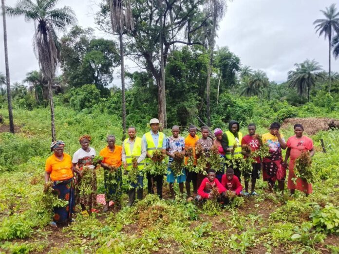 Group of farmers in a tropical field, holding bundled leafy greens, with palm trees in the background.