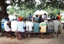Swedwatch Report Raises Land Rights Concerns Over Sierra Leone Carbon Credit Project Community meeting under a large tree with people seated on benches listening to a speaker.