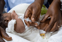 One Dose at Birth, Lifelong Protection: Sierra Leone Steps Up Fight Against Hepatitis B Newborn baby wrapped in a white blanket, held by caregivers as a clinician prepares to give a neonatal injection.