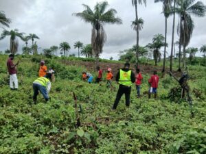 Group of people working in a green farm plot, some wearing high-visibility vests, with palm trees in the background under a cloudy sky.