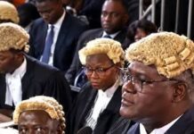 Lawyers’ Society, Opposition MPs Demand Unconditional Release of JFK, Urges Supreme Court to Reconsider Contempt Ruling Judges in traditional wigs and black robes seated in a courtroom, with one man speaking at a podium.