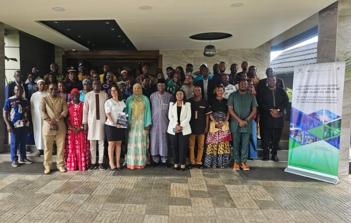 Group portrait of diverse attendees in bright clothing posing on steps at a formal event, with a banner about Sierra Leone trade information.
