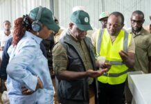 Military Targets 59,900 Bags of Rice as President Bio Highlights Farmers’ and Women-Led Agribusiness Contributions to Feed Salone Group of workers in a workshop examining a mineral rock sample, with one person in a yellow safety vest explaining the sample to others.