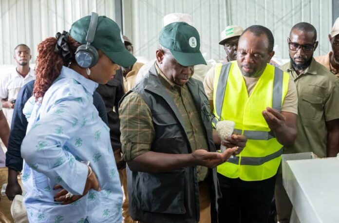 Group of workers in a workshop examining a mineral rock sample, with one person in a yellow safety vest explaining the sample to others.