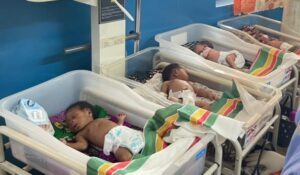| The Calabash Newspaper Several newborn babies in clear hospital bassinets lined up in a neonatal ward, wrapped in blankets.