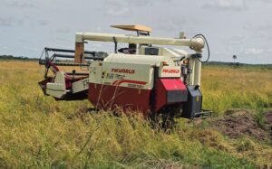 | The Calabash Newspaper Red-and-white agricultural harvester operating in a grassy field, with a long header attached for cutting crops